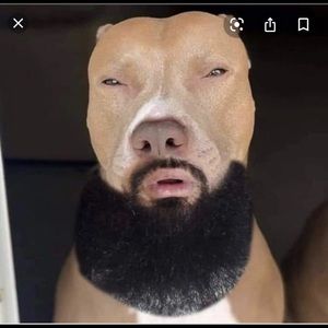 Meet your Posher, Carlos